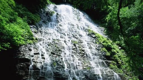 节能绿色环保